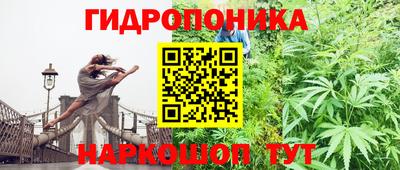2c-b Гусиноозёрск