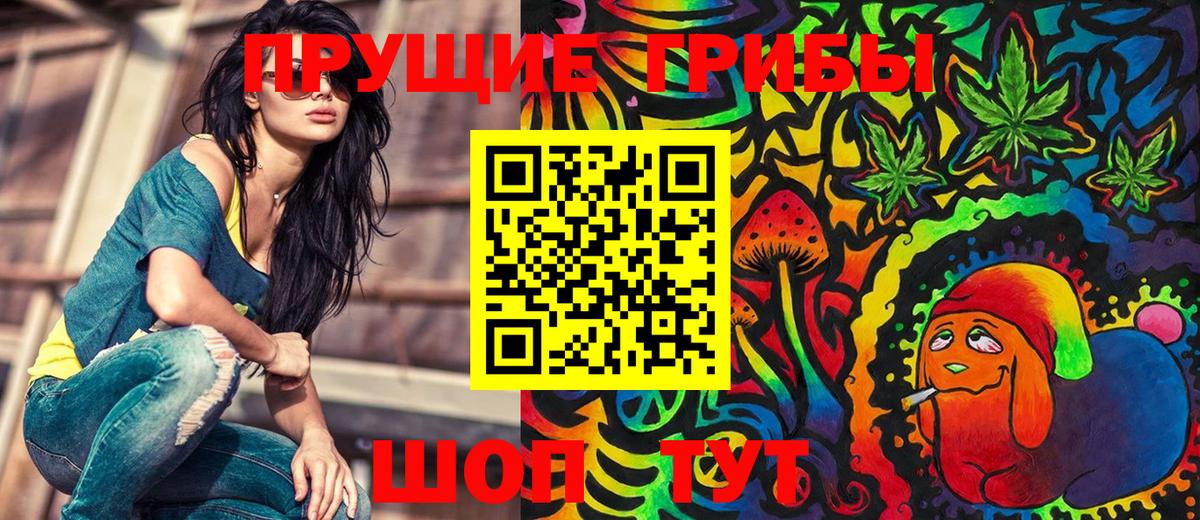 Галлюциногенные грибы Cubensis Холмск